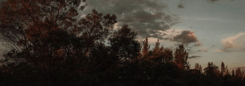 Untitled design (4).png