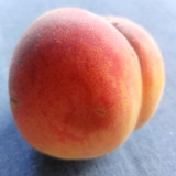 IMG20250723104018
