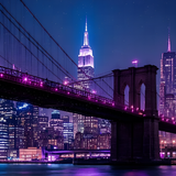 64a12db732c415c00298a40eb0b9b448 x9