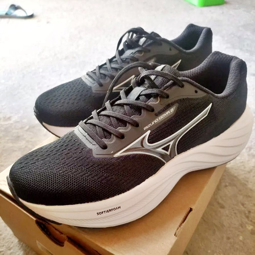 Goya 2 Mizuno.jpg