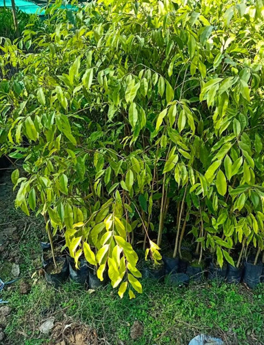 whatsapp image 2022 09 09 at 10.jpg