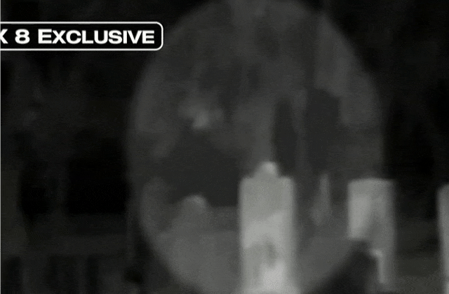 [Image: Fea3VaI.gif]