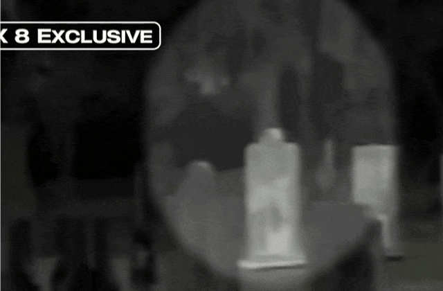 [Image: Fea9F6P.gif]