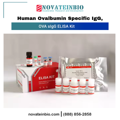 Human Ovalbumin Specific IgG.png