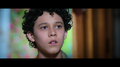 vlcsnap 2025 07 23 12h33m47s710.jpg