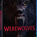 926cfbb9 fb2c 41b4 8b50 c60df93bbbd0.png