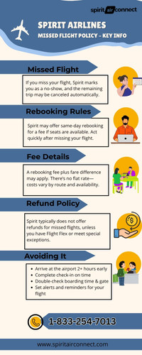 Spirit Airlines missed flight.jpg