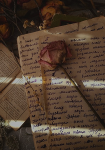 Proyecto nuevo (27).png