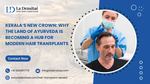 Kerala’s New Crown Why the Land of Ayurveda is Becoming a Hub for Modern Hair Transplants.jpg
