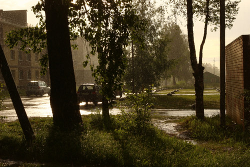 IMG 2520a1.jpg