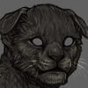 IMG 4196.png