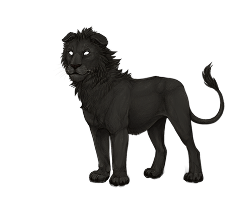 IMG 4204.png