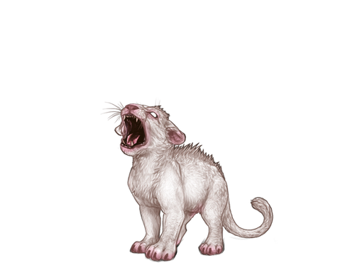 IMG 4232.png