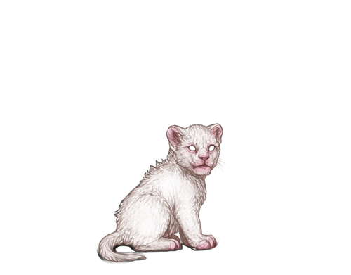 IMG 4231.png