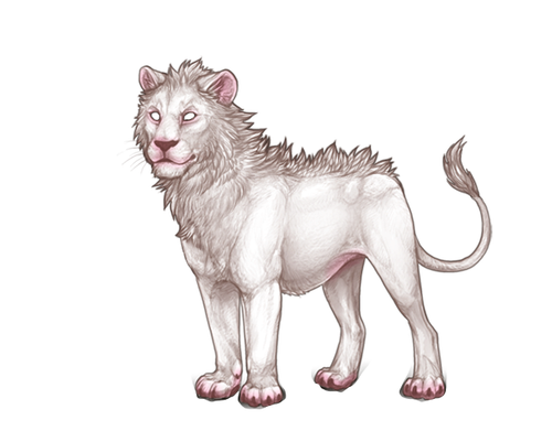 IMG 4234.png