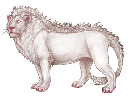 IMG 4237.png
