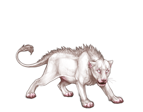 IMG 4233.png