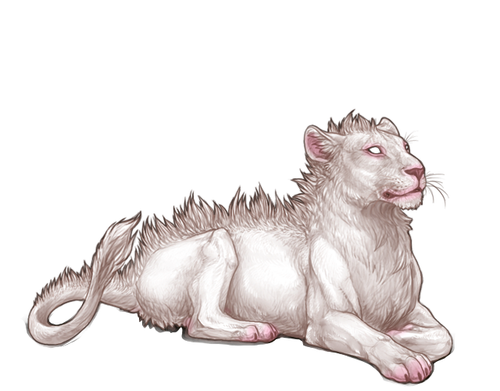 IMG 4236.png