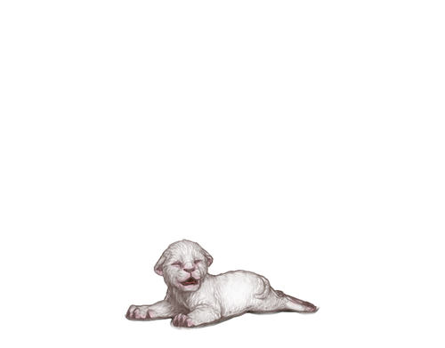 IMG 4230.png