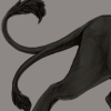 IMG 4215.png