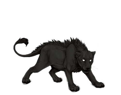 IMG 4226.png