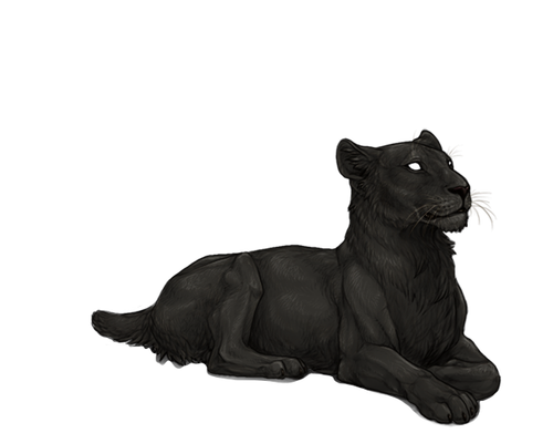IMG 4221.png