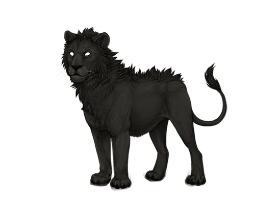 IMG 4225.png