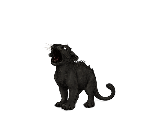 IMG 4227.png