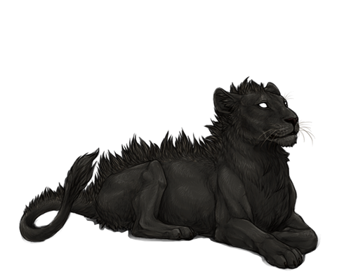 IMG 4224.png