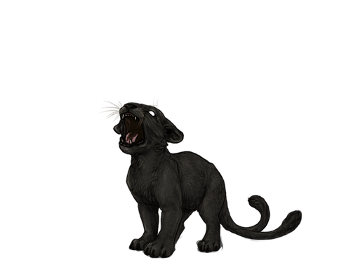 IMG 4212.png
