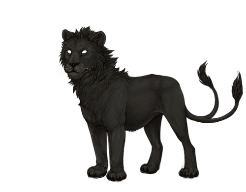 IMG 4210.png