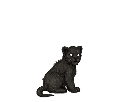 IMG 4228.png
