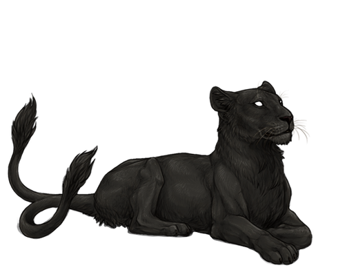 IMG 4209.png