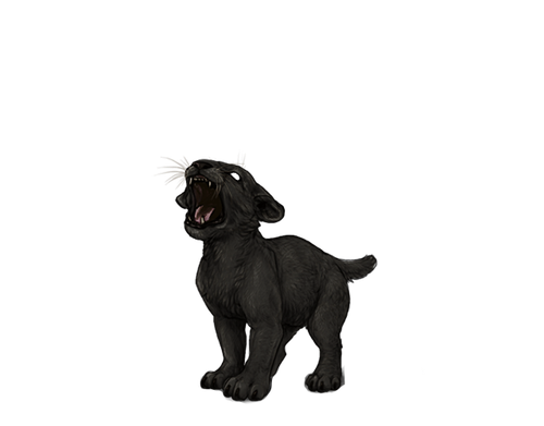 IMG 4218.png