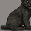 IMG 4222.png