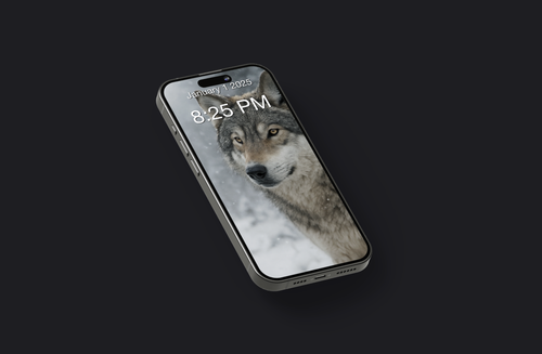 Screenshot 2025 06 12 at 20.44.08.png