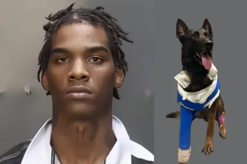 An 18 year old man from Texas has been federally charged after he shot a police K9 dog using a Glock.webp