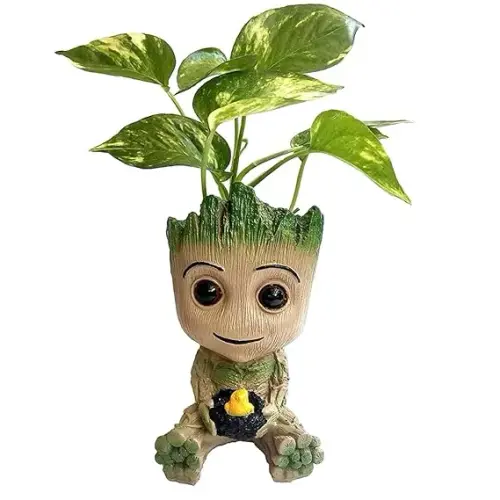 610V0M4gfYL. SX569.webp