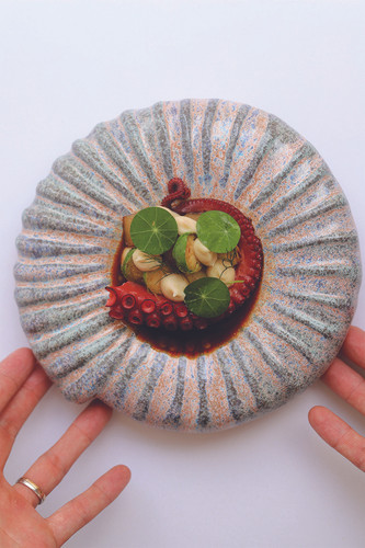 iof home ponuda2.jpg