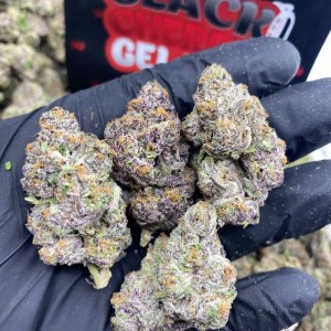 Exotic Dreams DC: Premium Weed & Cannabis Delivery.jpg