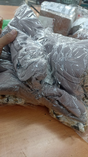 WhatsApp Image 2025 06 12 at 14.41.16.jpg