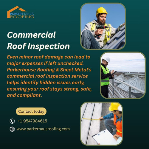 commercial roof inspection (1)
