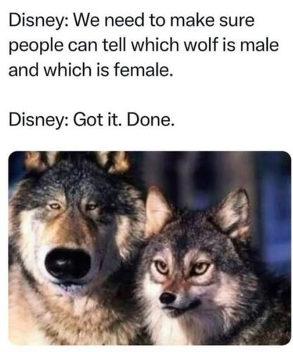 Screenshot 2025 06 12 at 10.10.39 AM.png