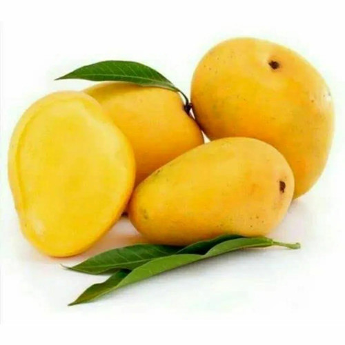 cloud farm himsagar mango aam hy (1).jpg