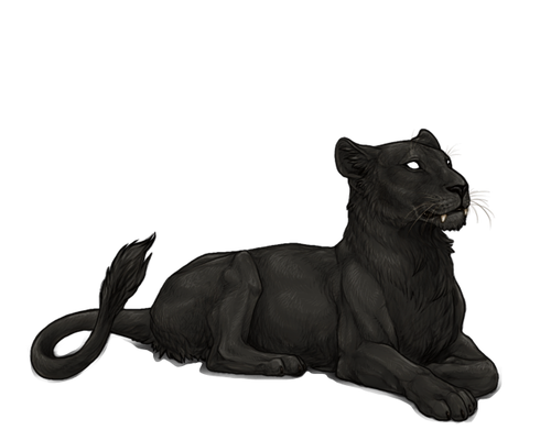 IMG 4259.png