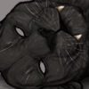 IMG 4252.png