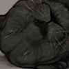 IMG 4250.png