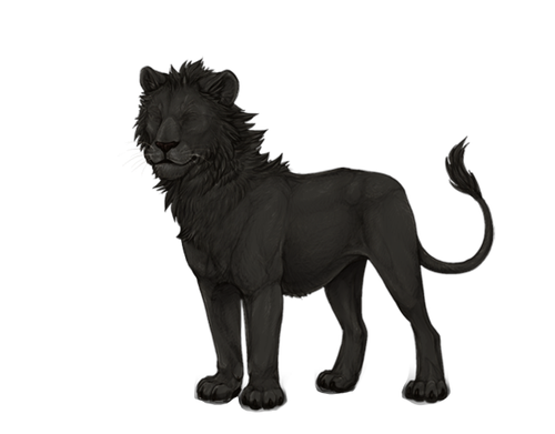 IMG 4245.png