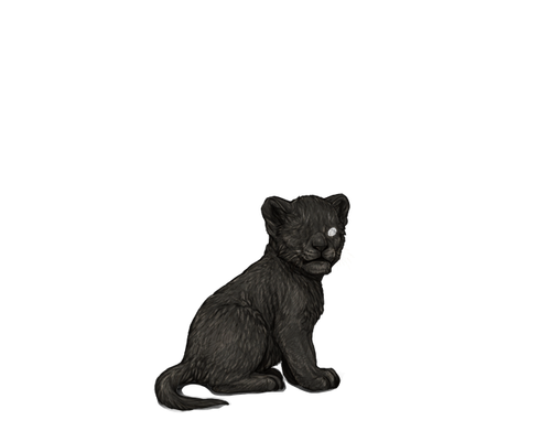 IMG 4248.png