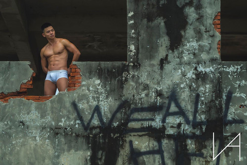 vanvision37 1567136378 2121616170208697460 1550023939.jpg